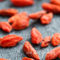 Organik lycium wolfberry goji berry untuk kesihatan